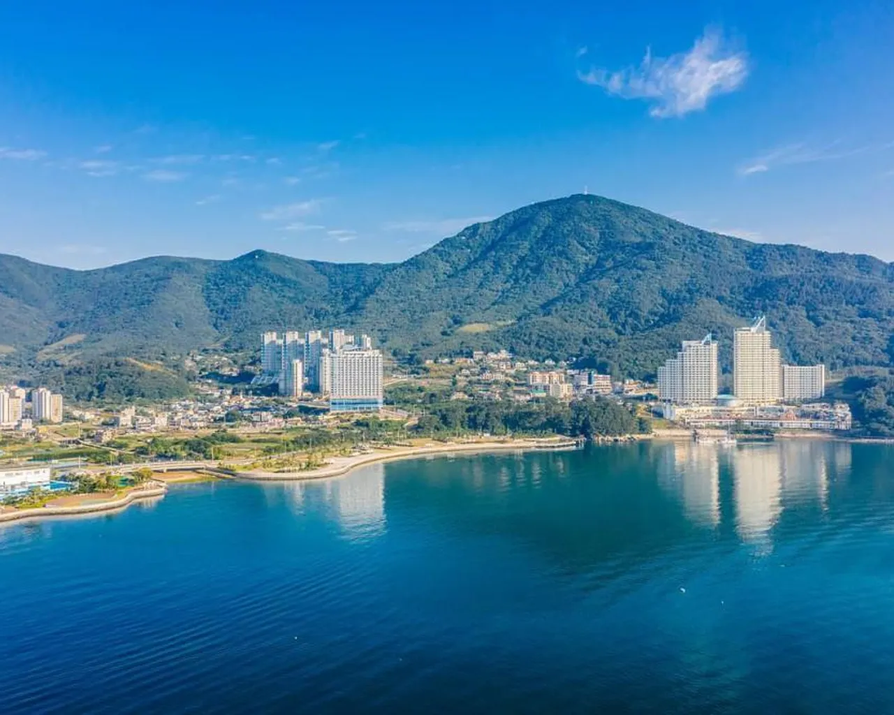 대표 사진