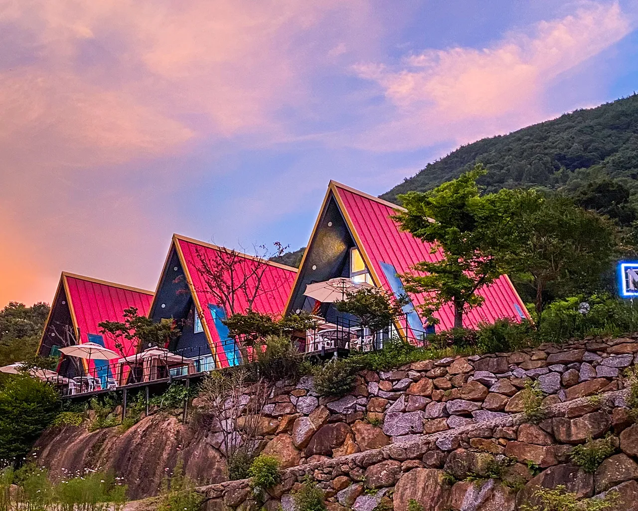 대표 사진