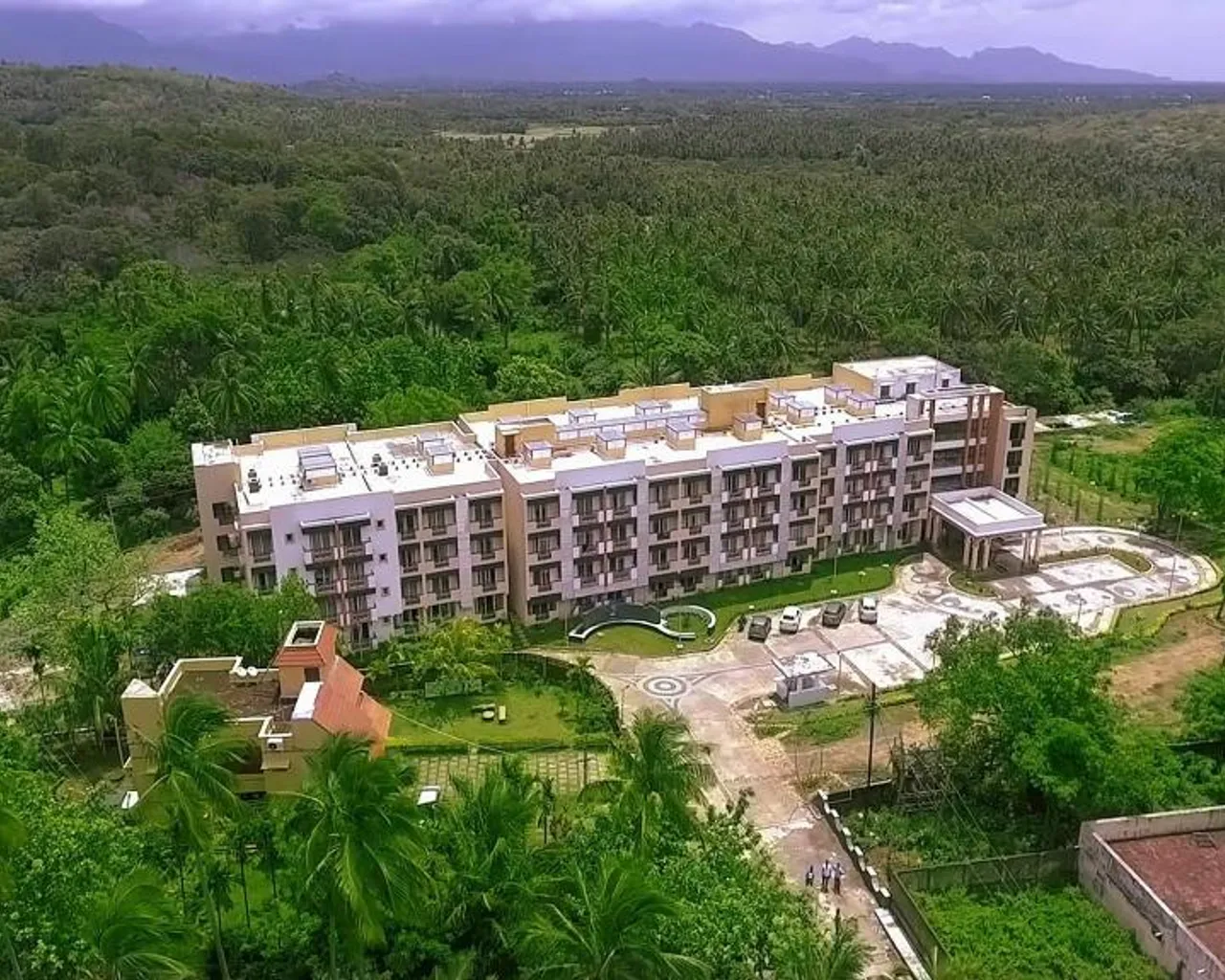 전망
