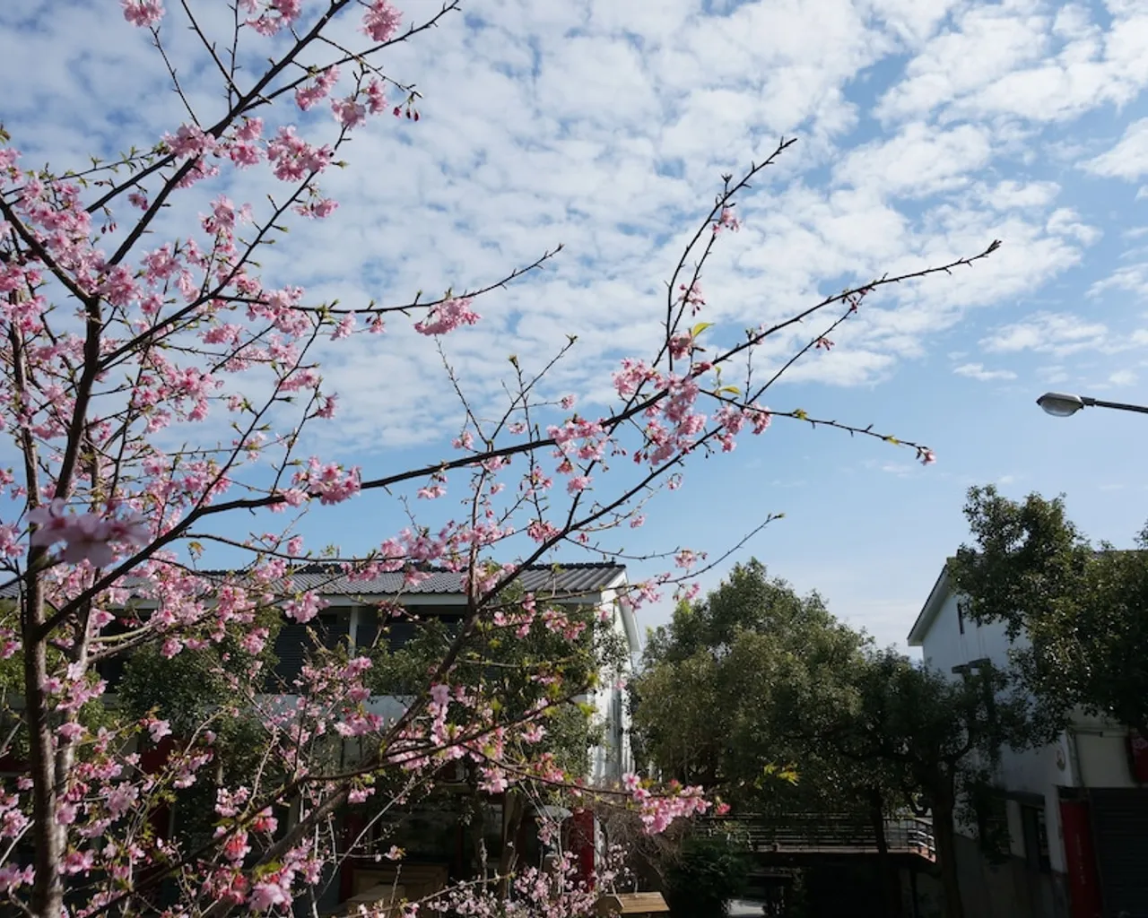 숙소 입구