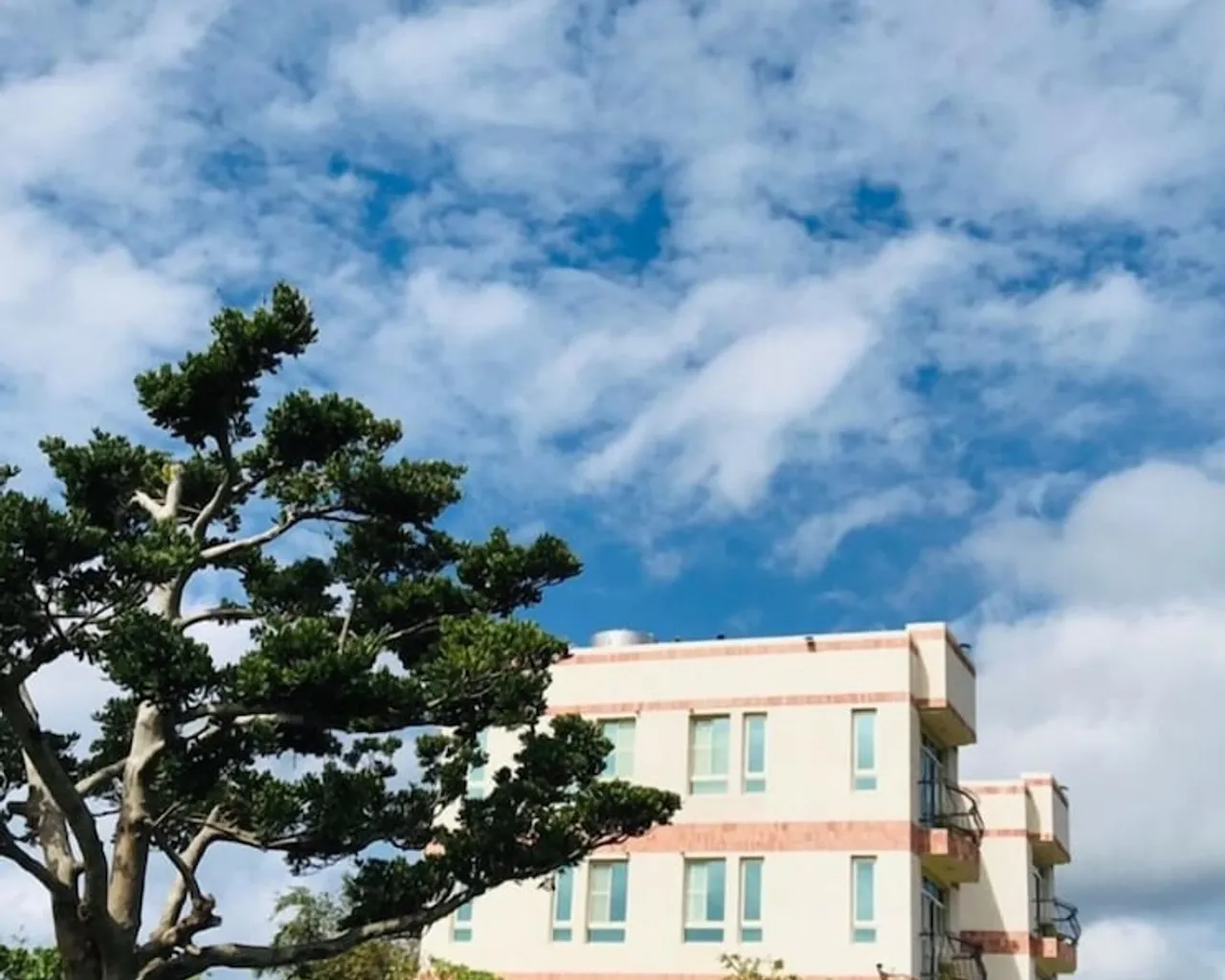 기본 이미지