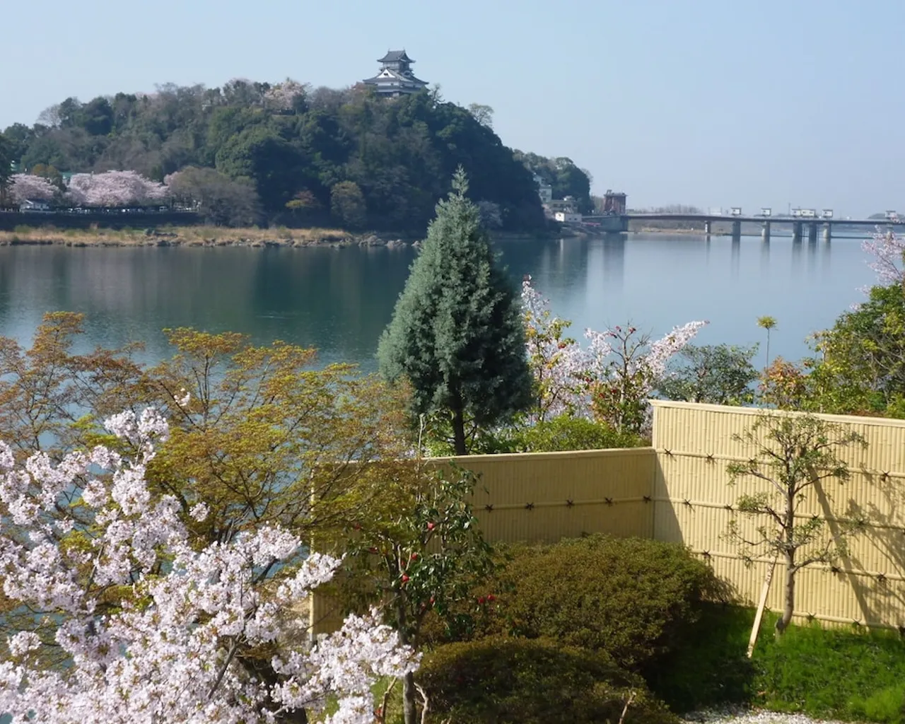 기본 이미지