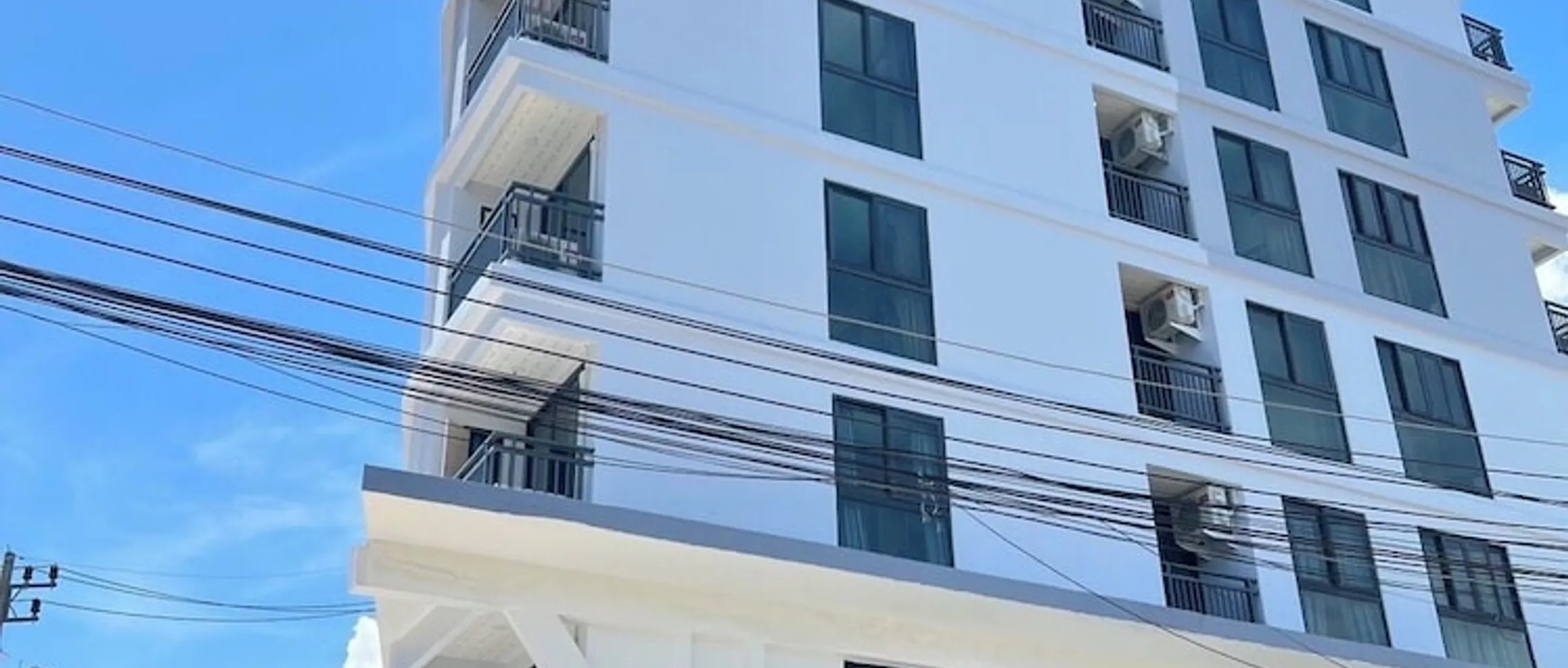 기본 이미지