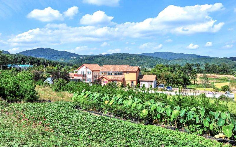 전경