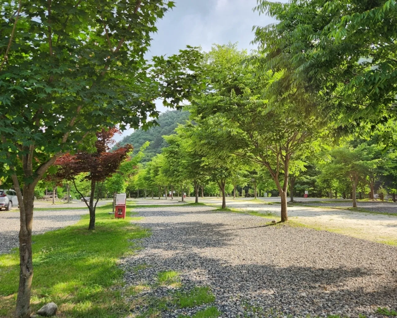 대표 사진