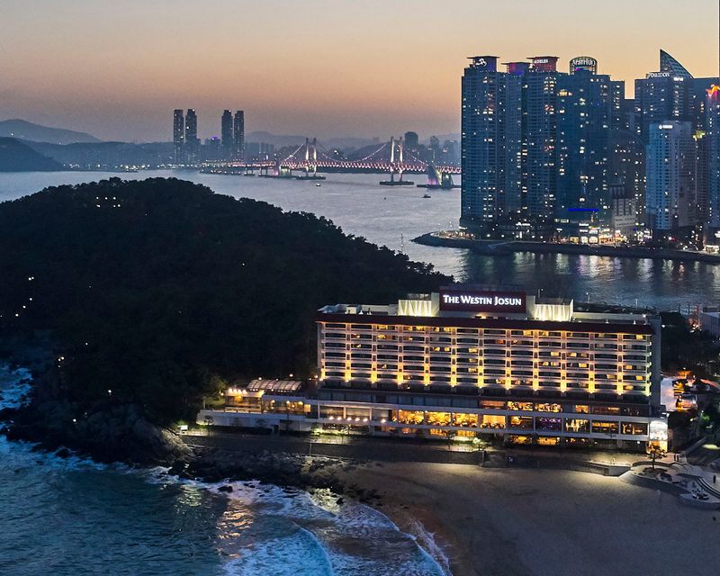대표사진
