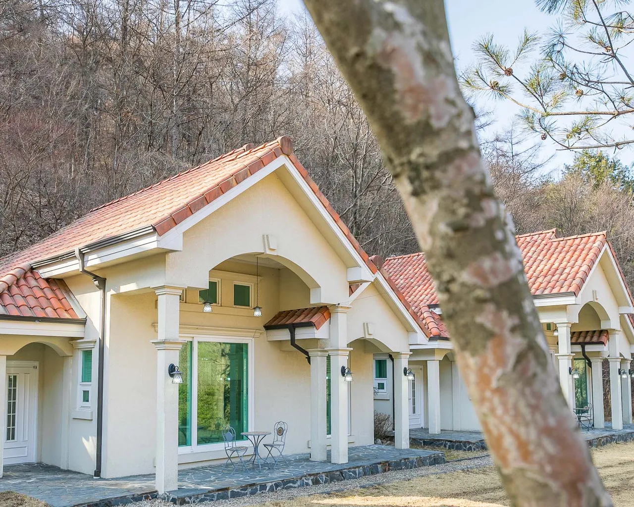 대표 사진