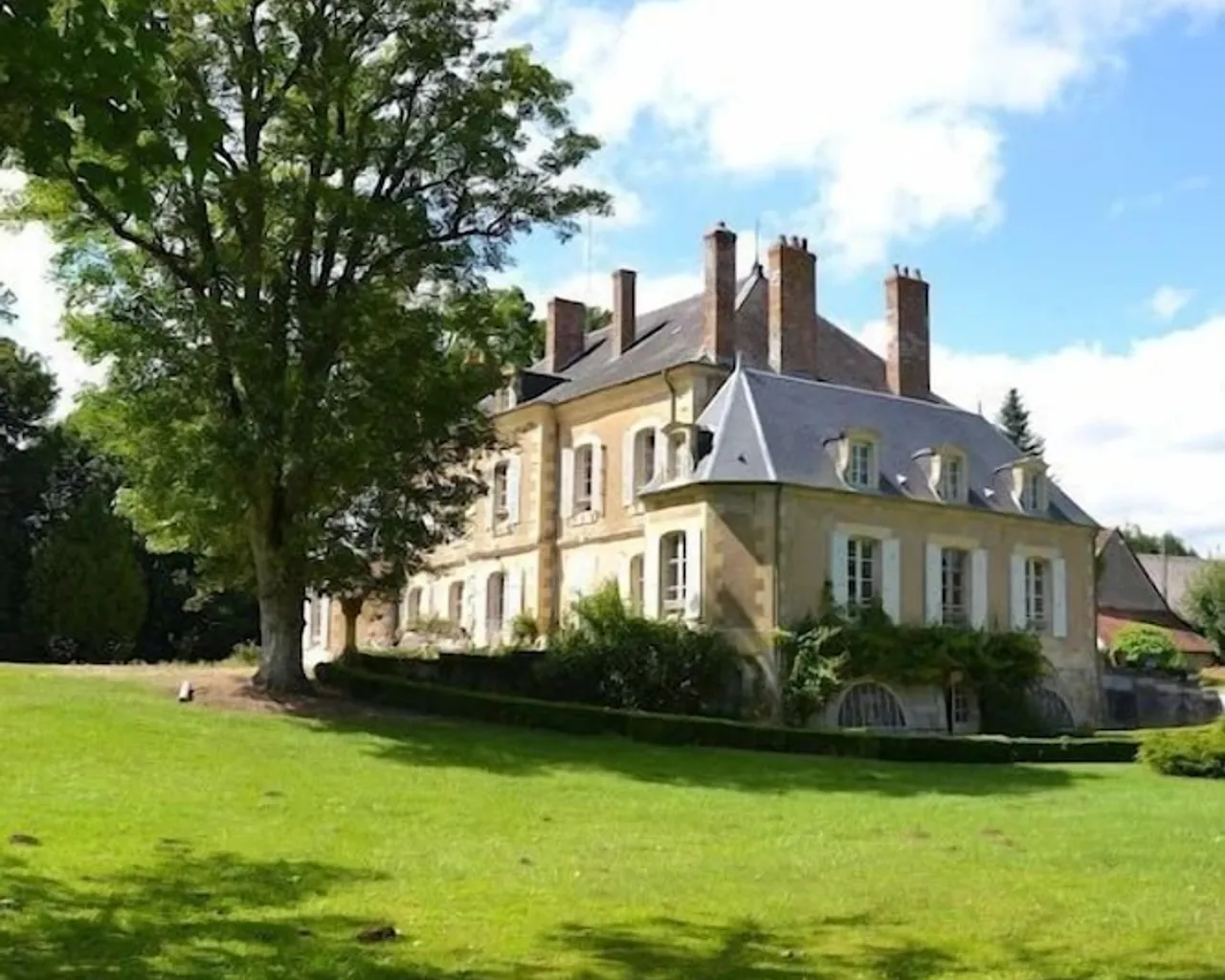 기본 이미지