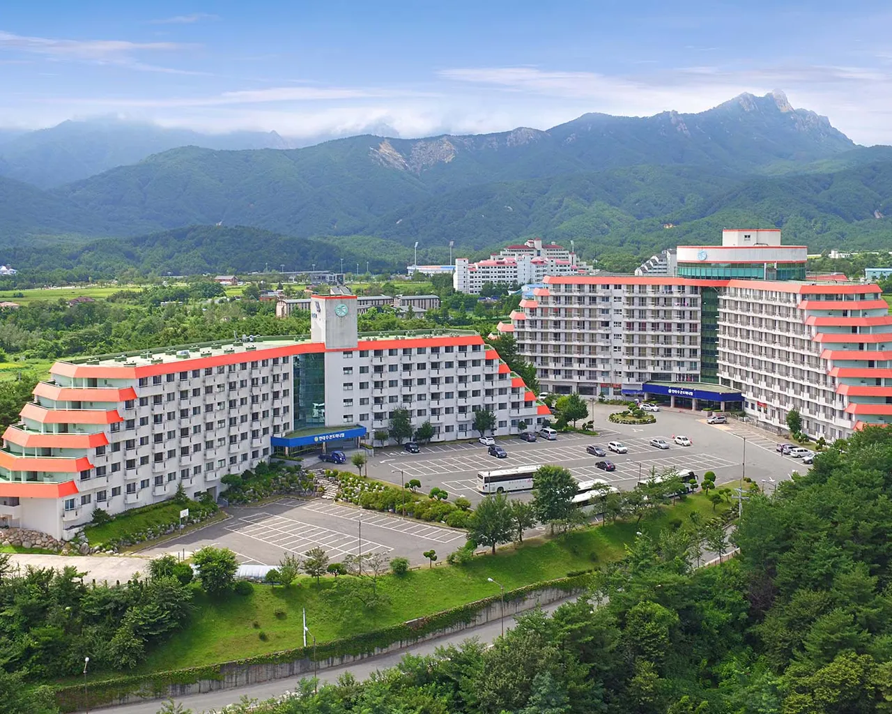 대표 사진