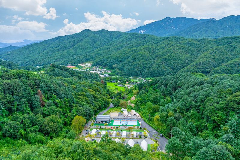 전경