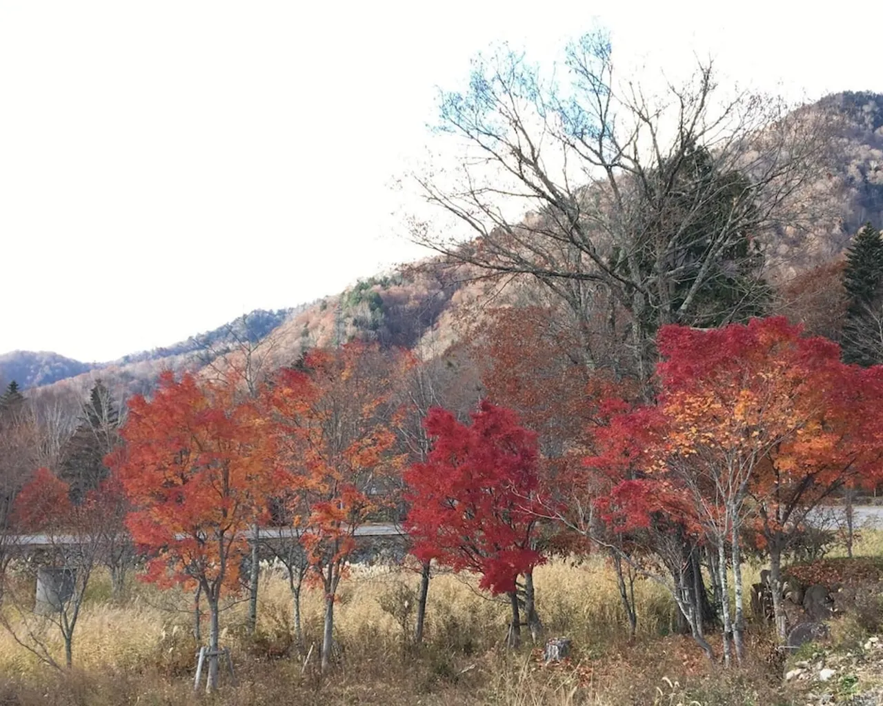 숙소 주변
