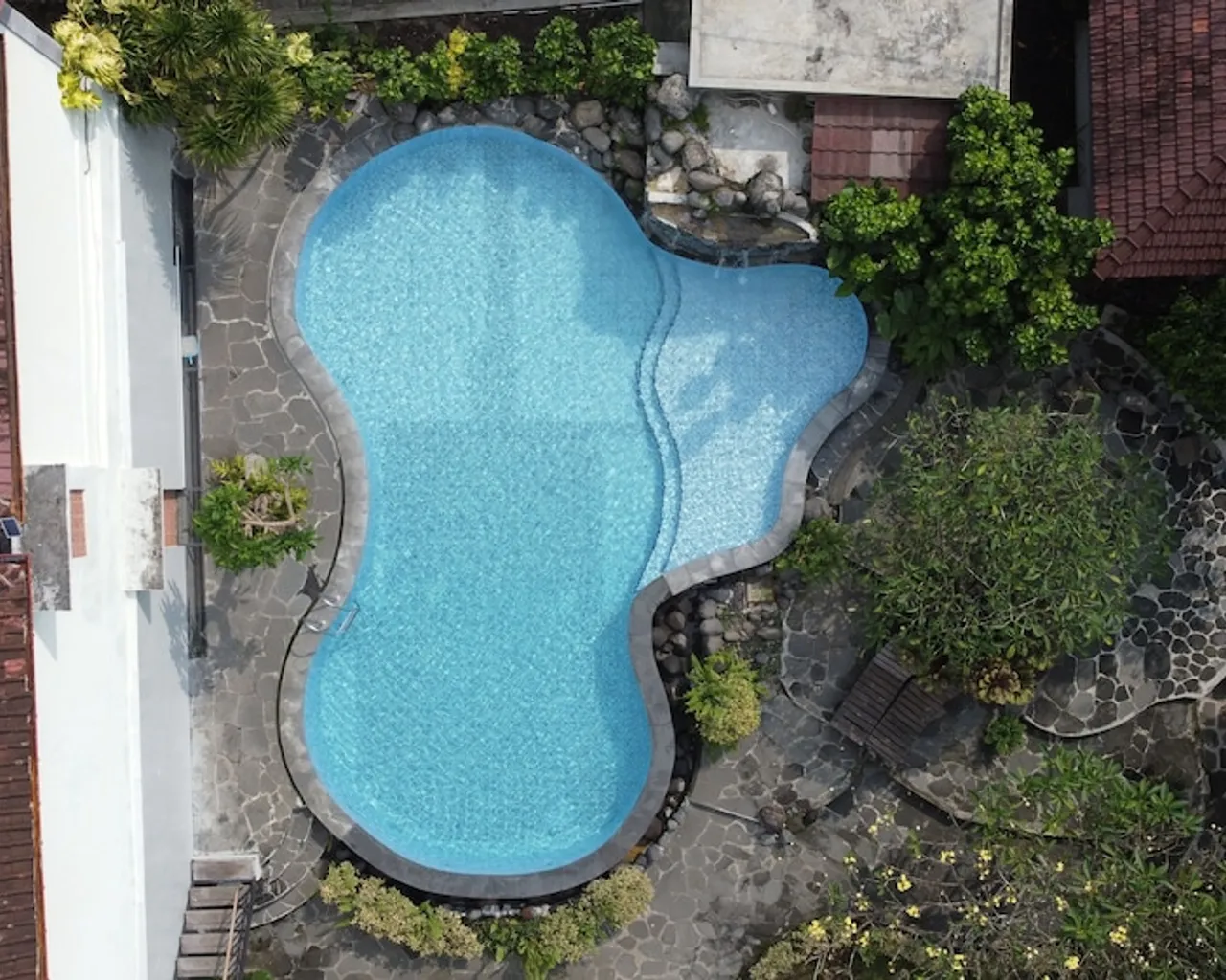 기본 이미지