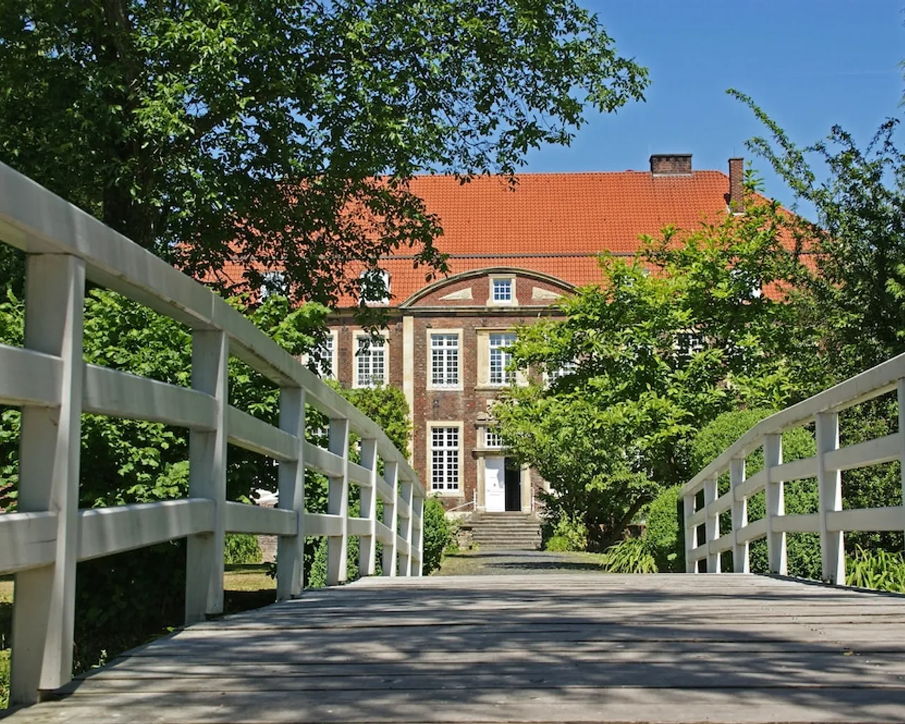 기본 이미지