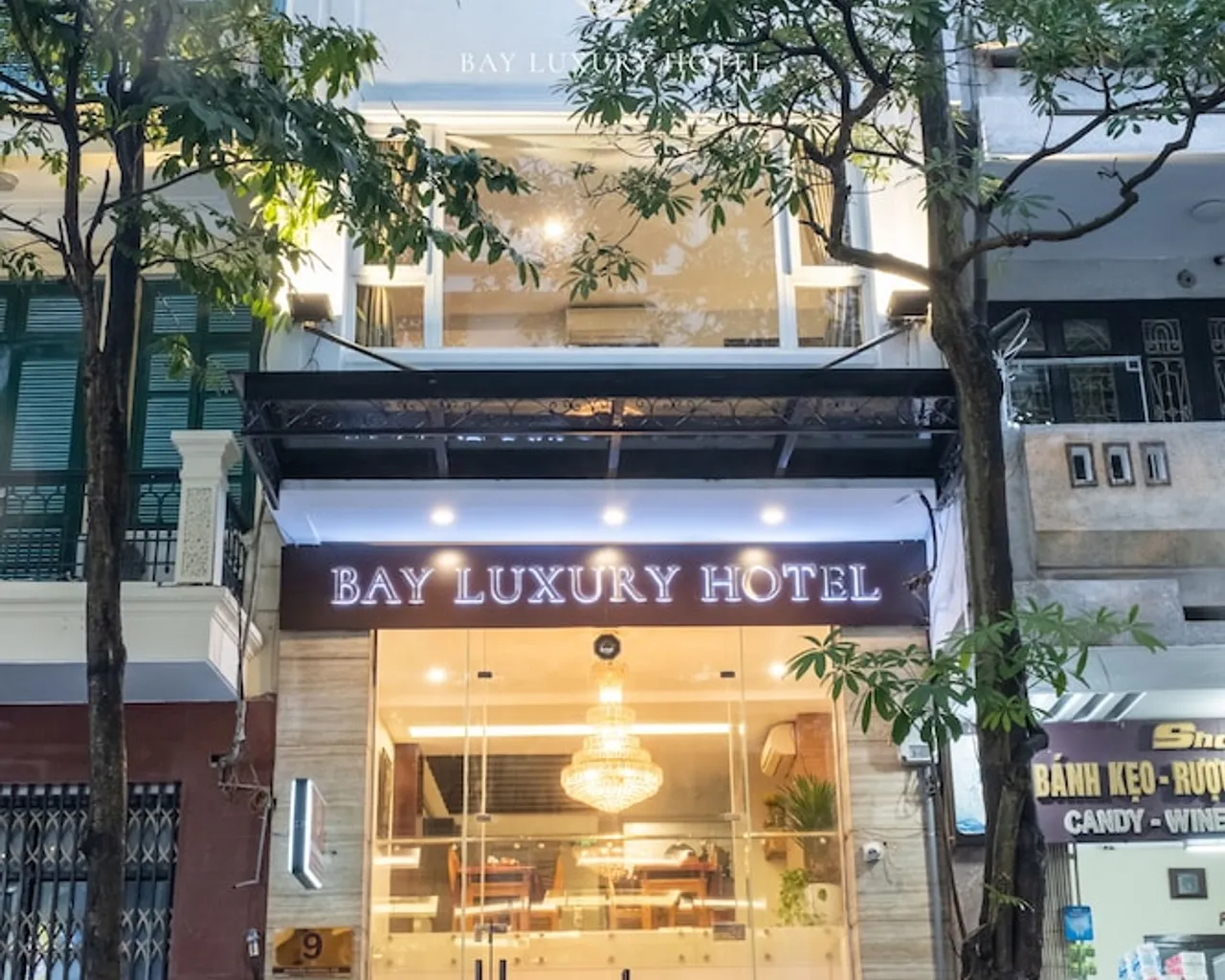 기본 이미지