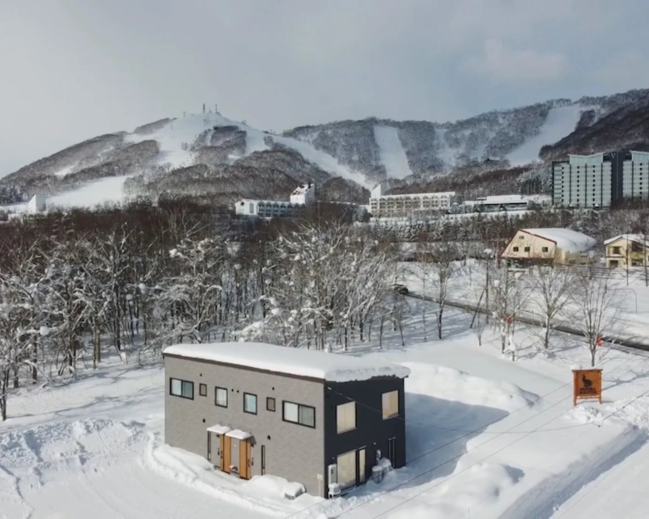 기본 이미지
