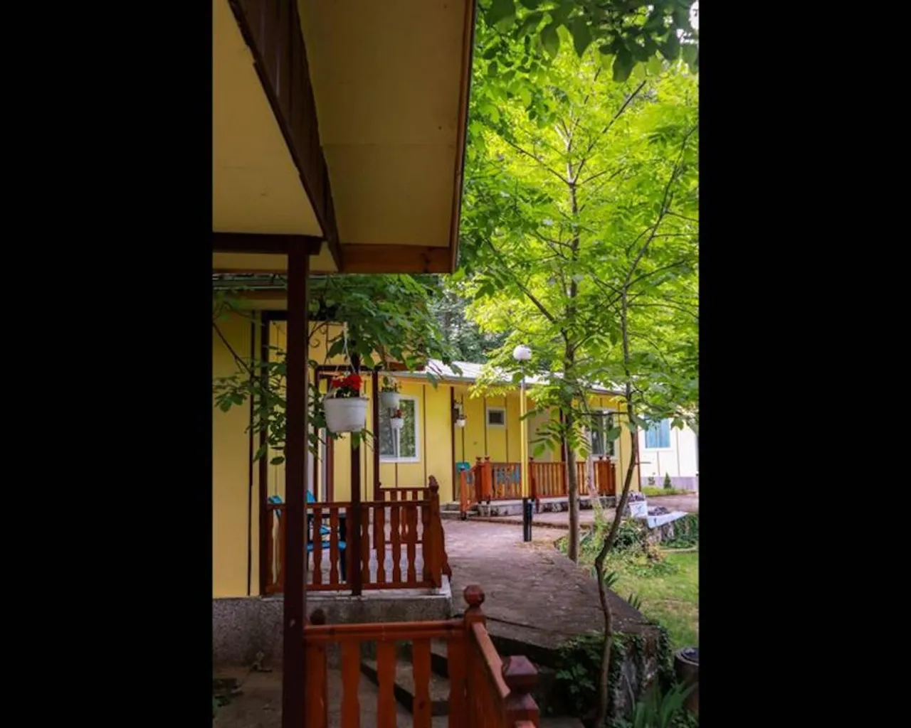 전망
