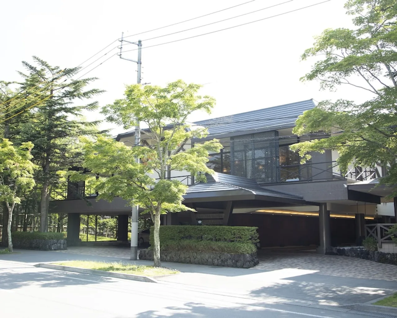 기본 이미지