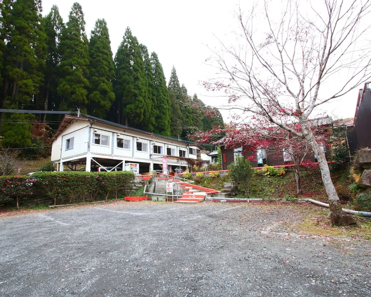 기본 이미지