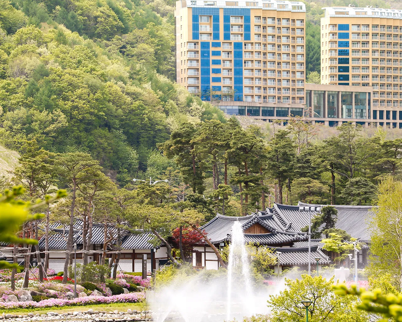 대표 사진
