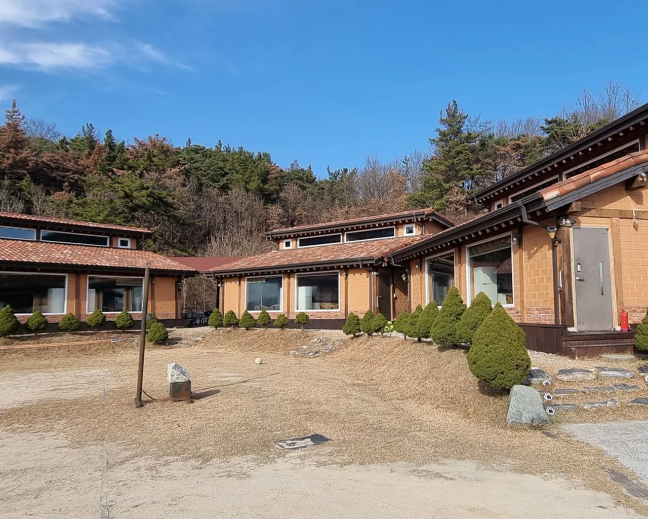 대표 사진