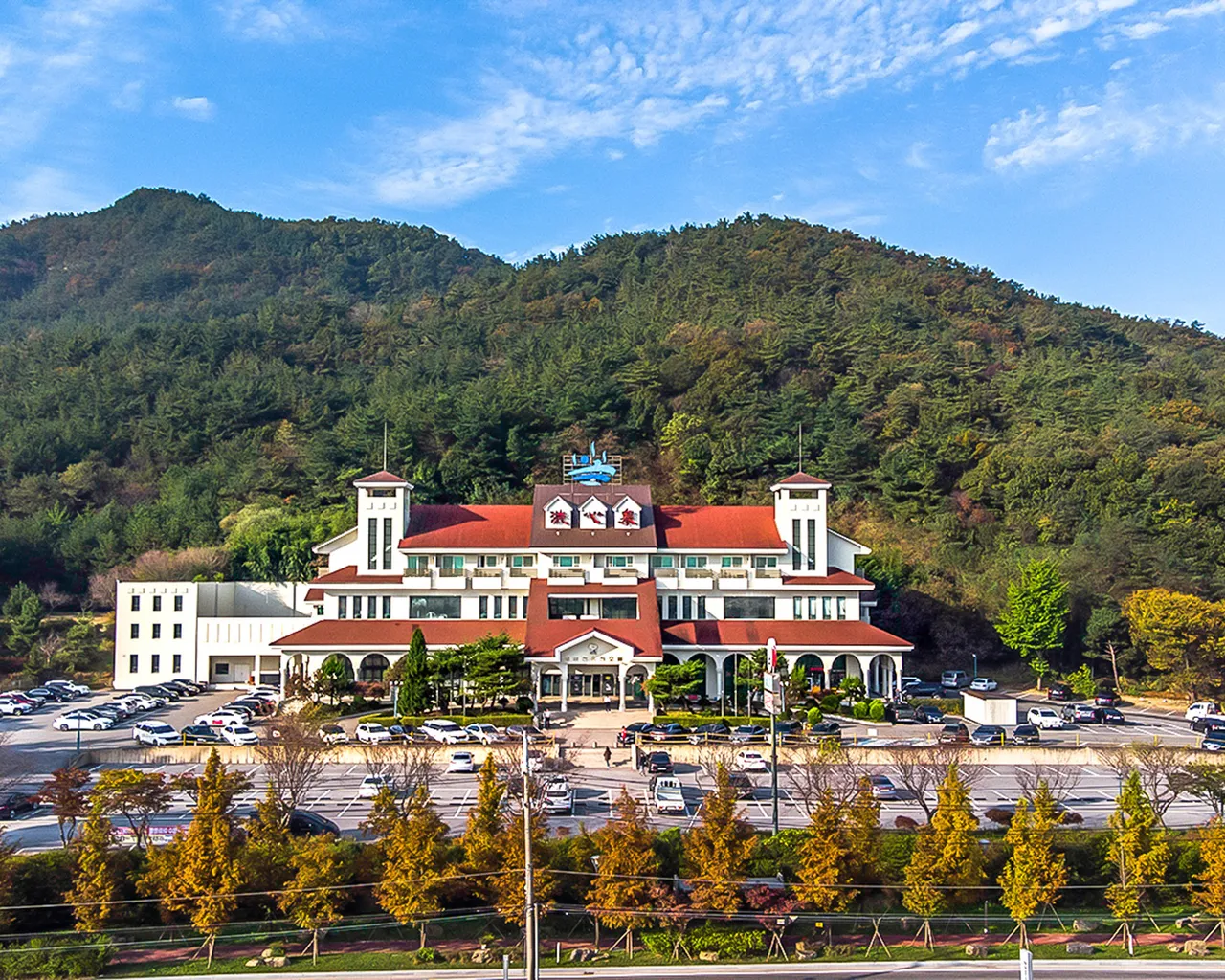 대표 사진