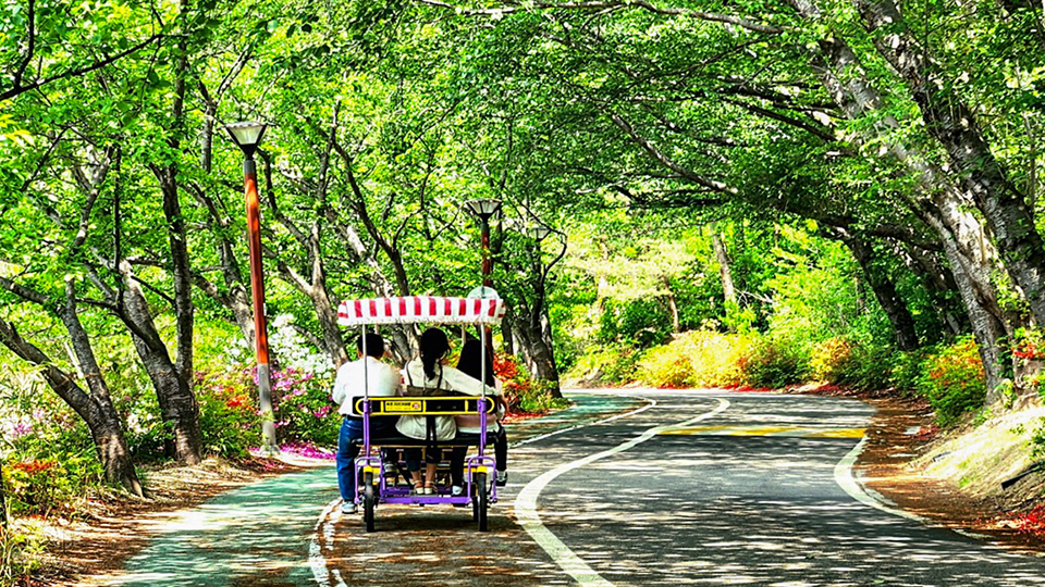 ★당일특가★ 영랑호리조트 4