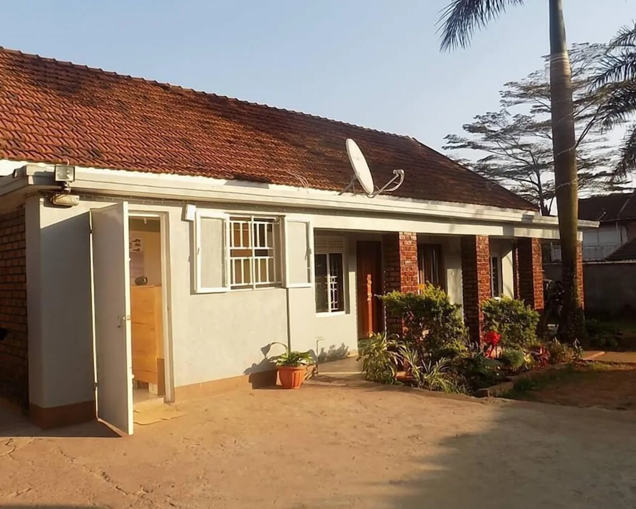 기본 이미지