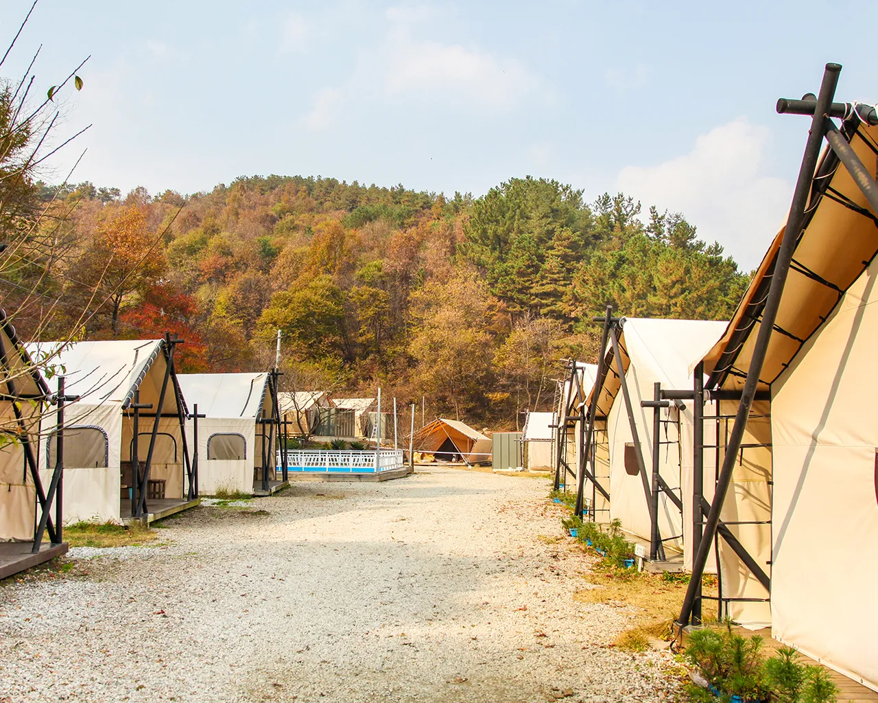 대표 사진