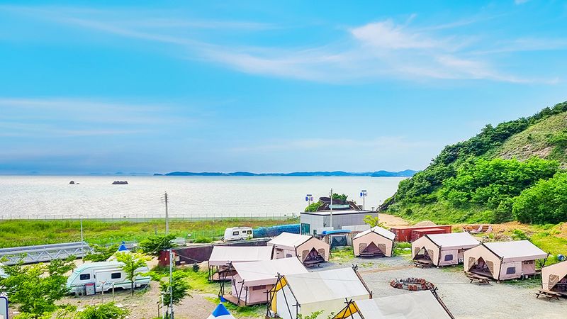 대표사진