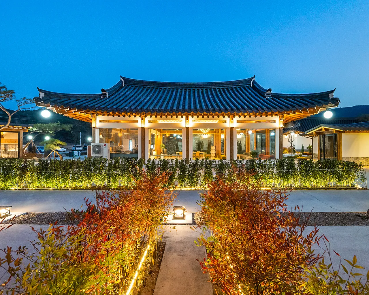 대표 사진