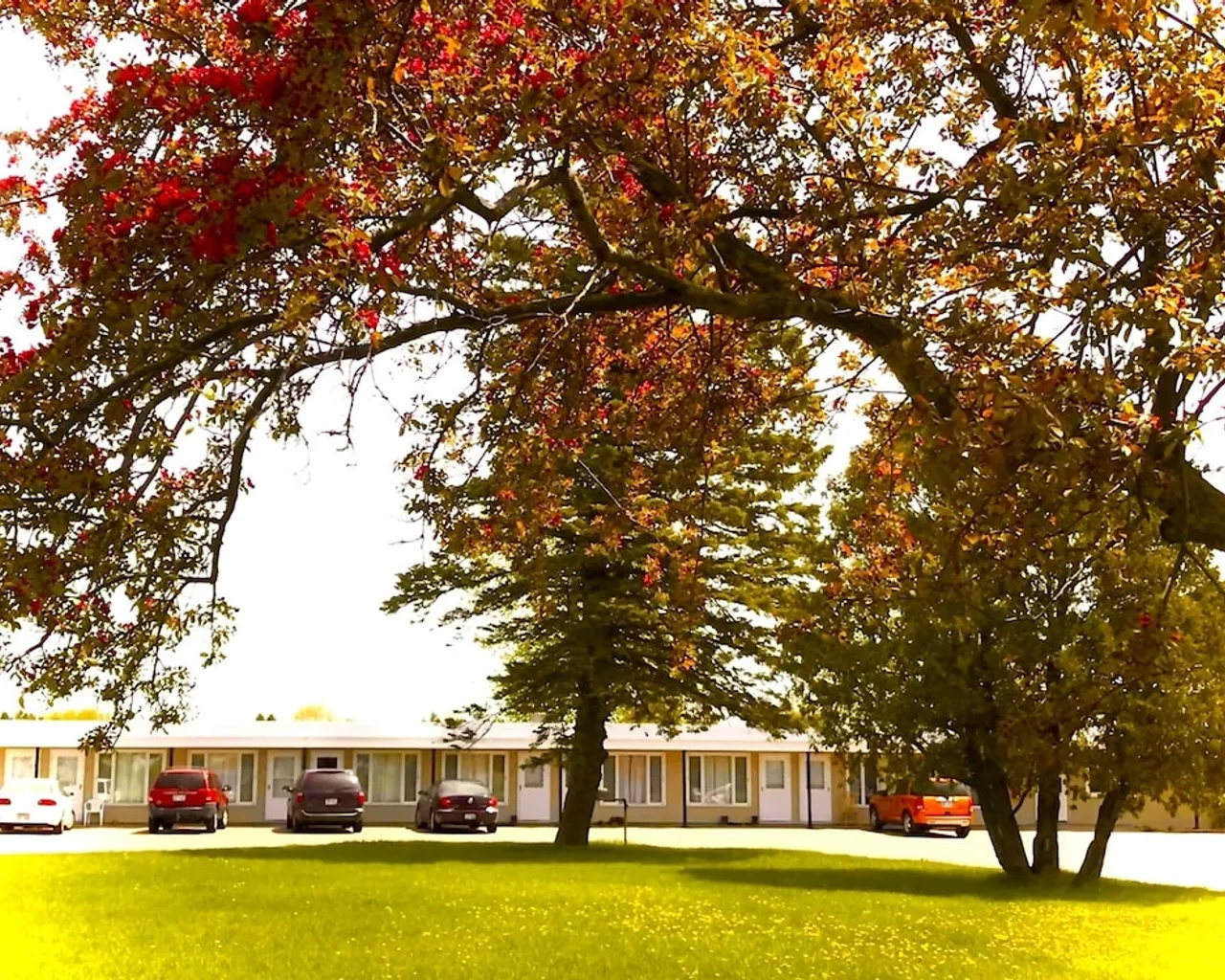 기본 이미지