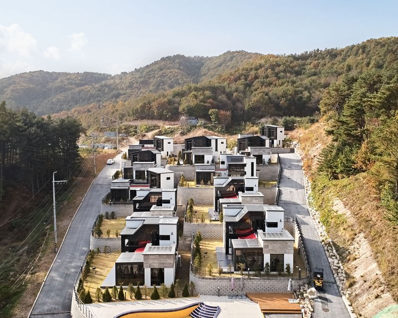 대표사진
