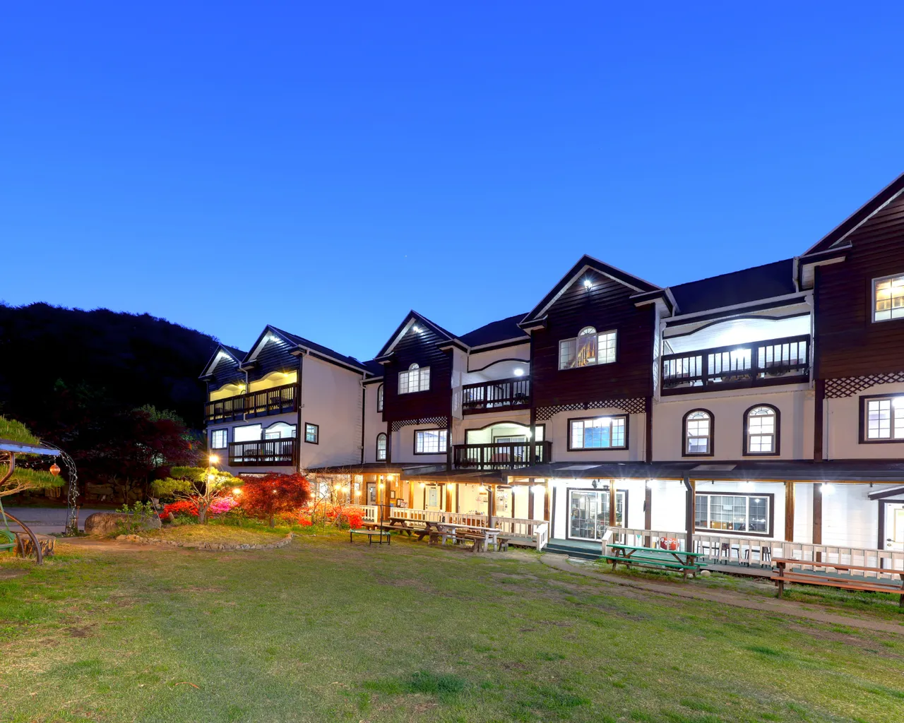 대표 사진