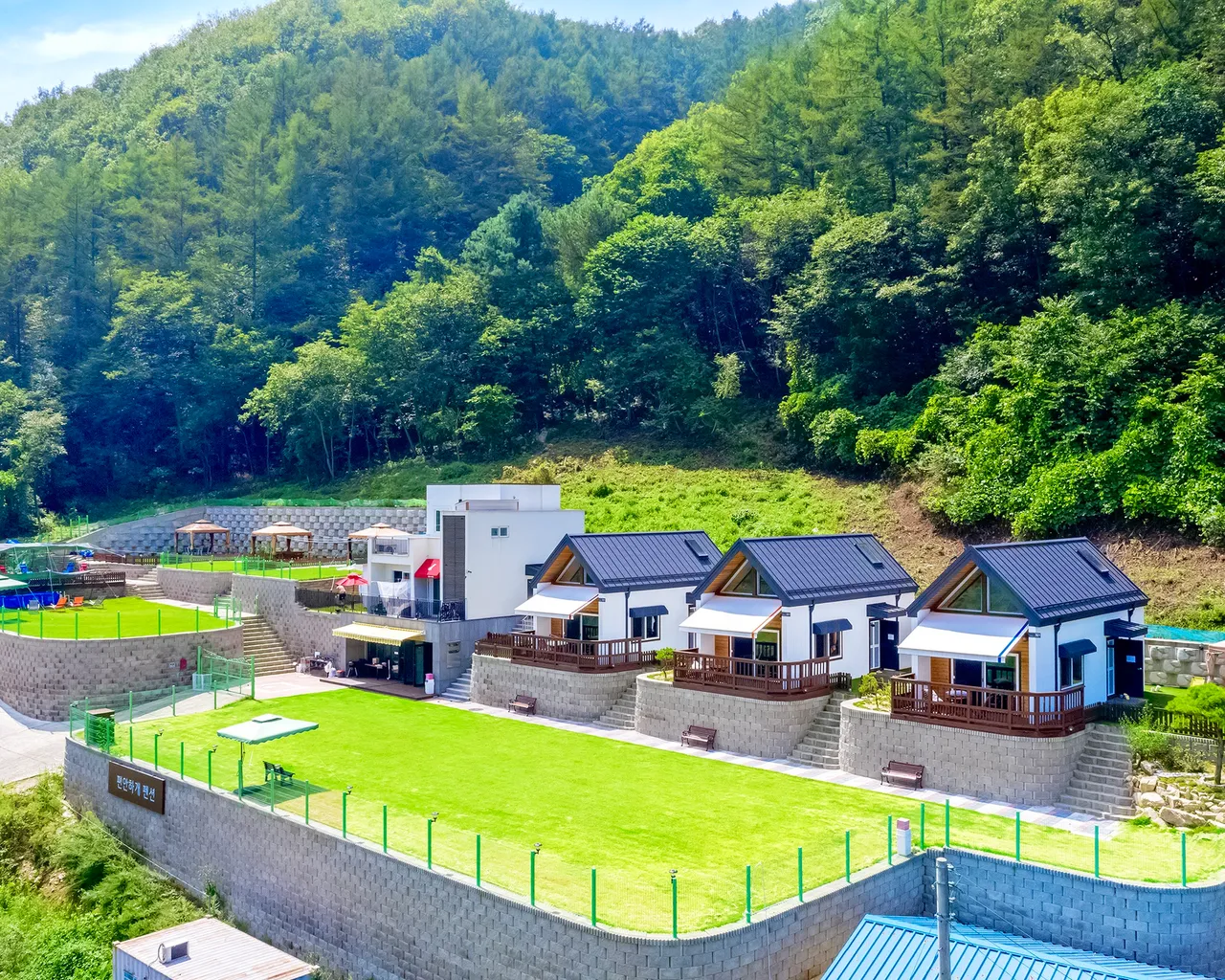 대표 사진