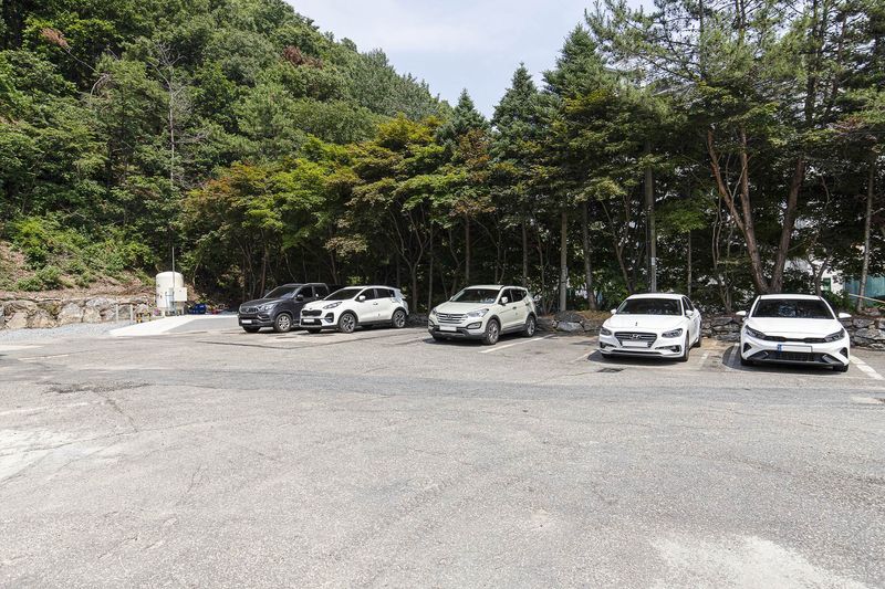 기타