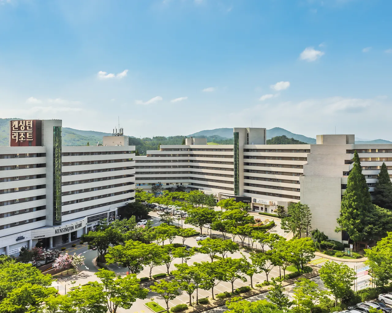 대표 사진