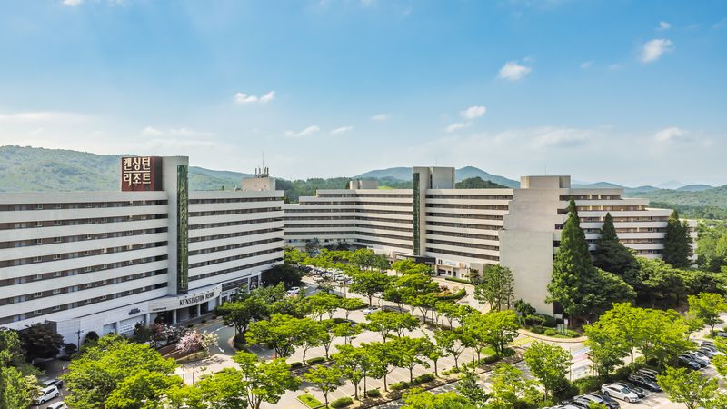 대표사진