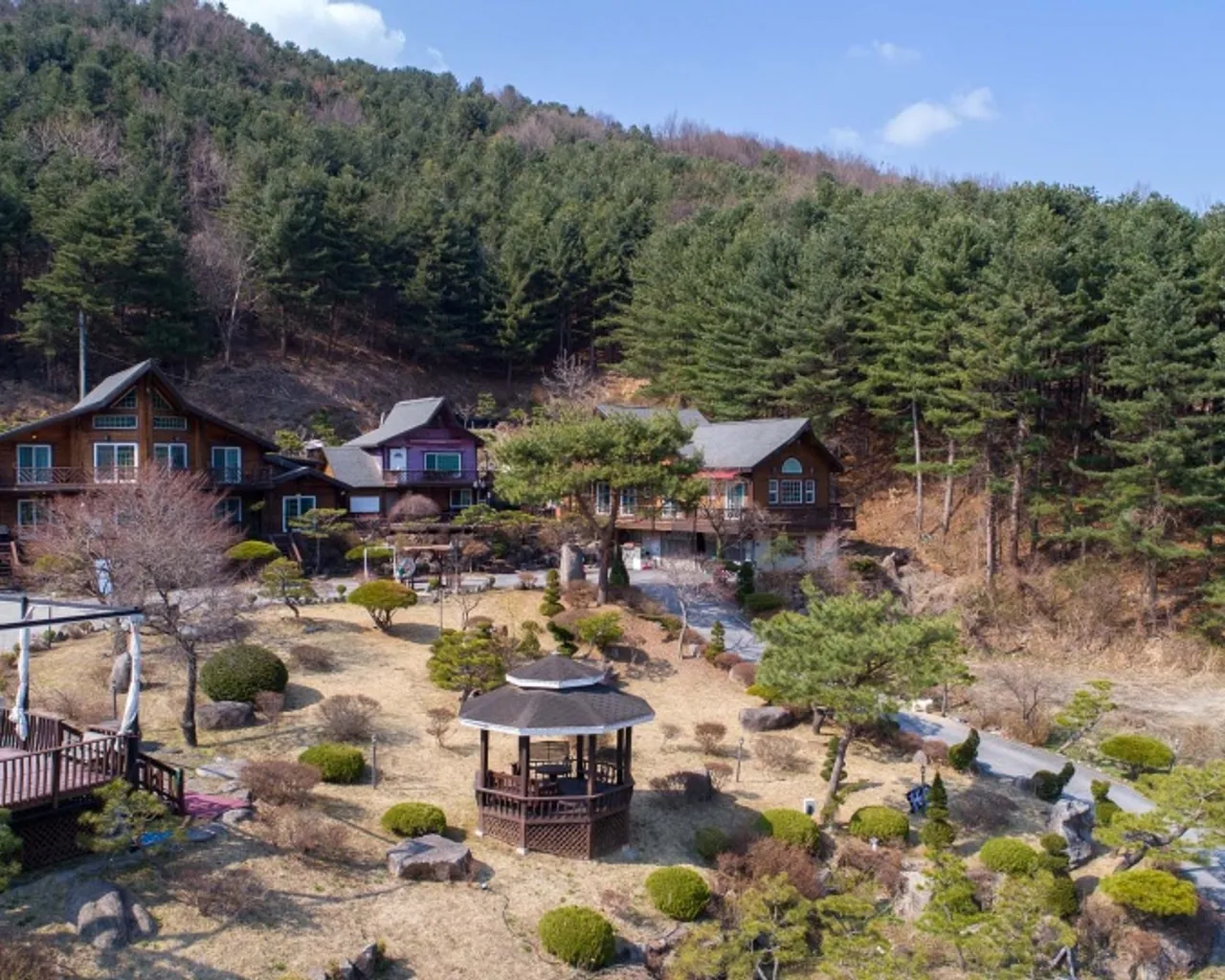 대표 사진