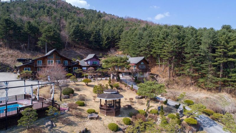 전경