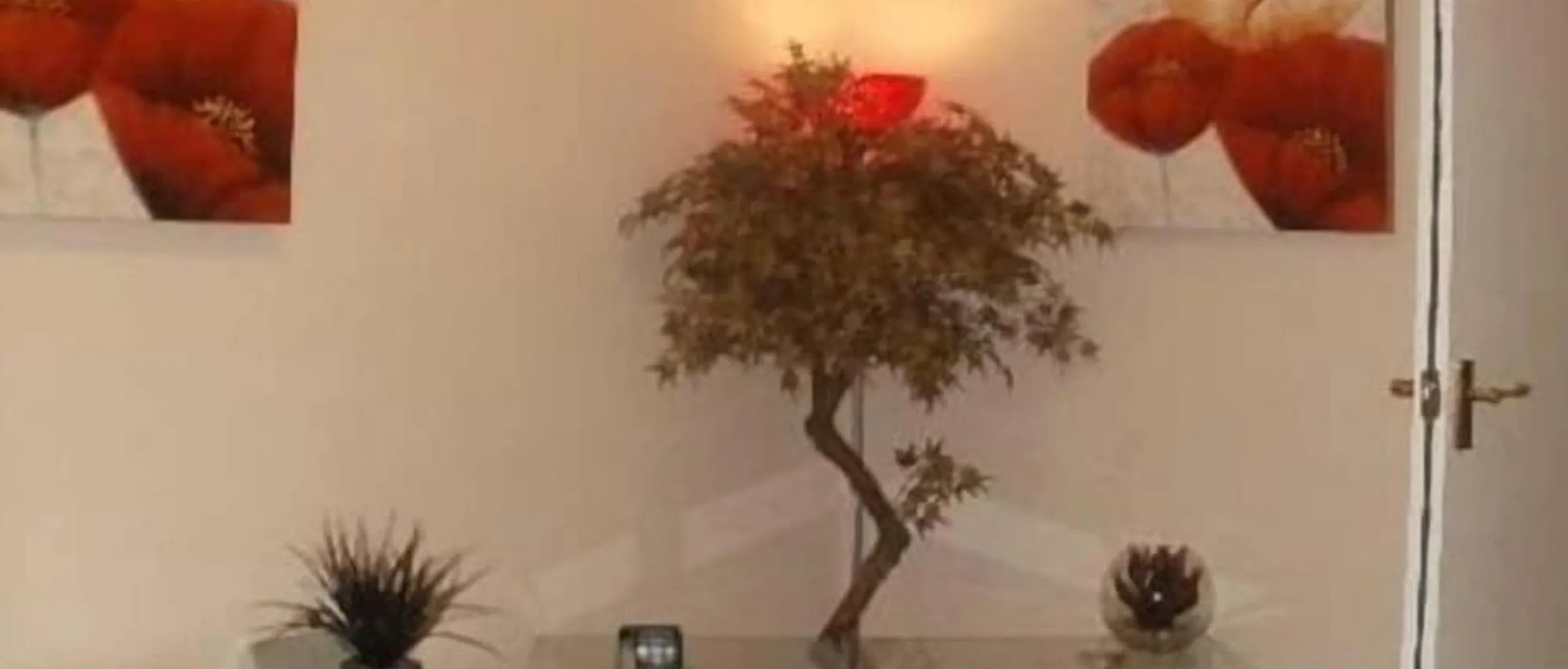 기본 이미지