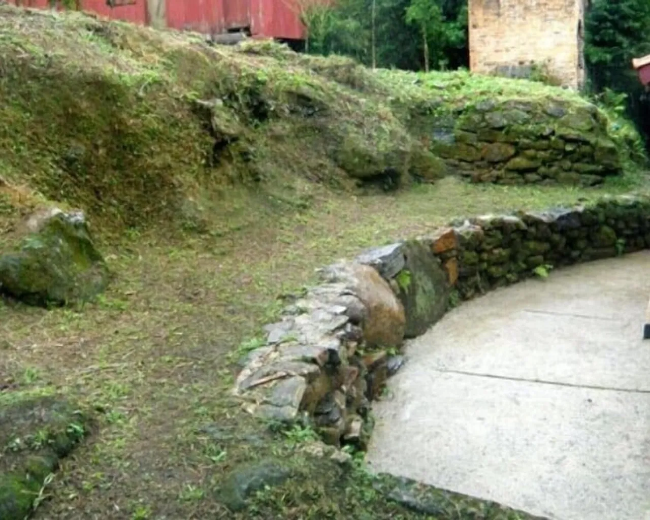 기본 이미지