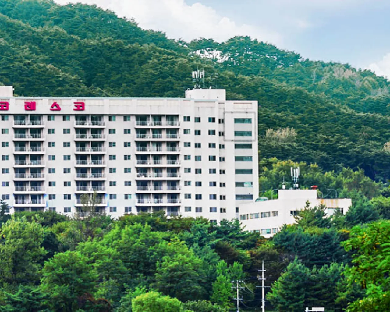 대표 사진