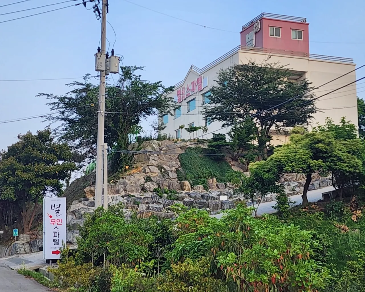 대표 사진