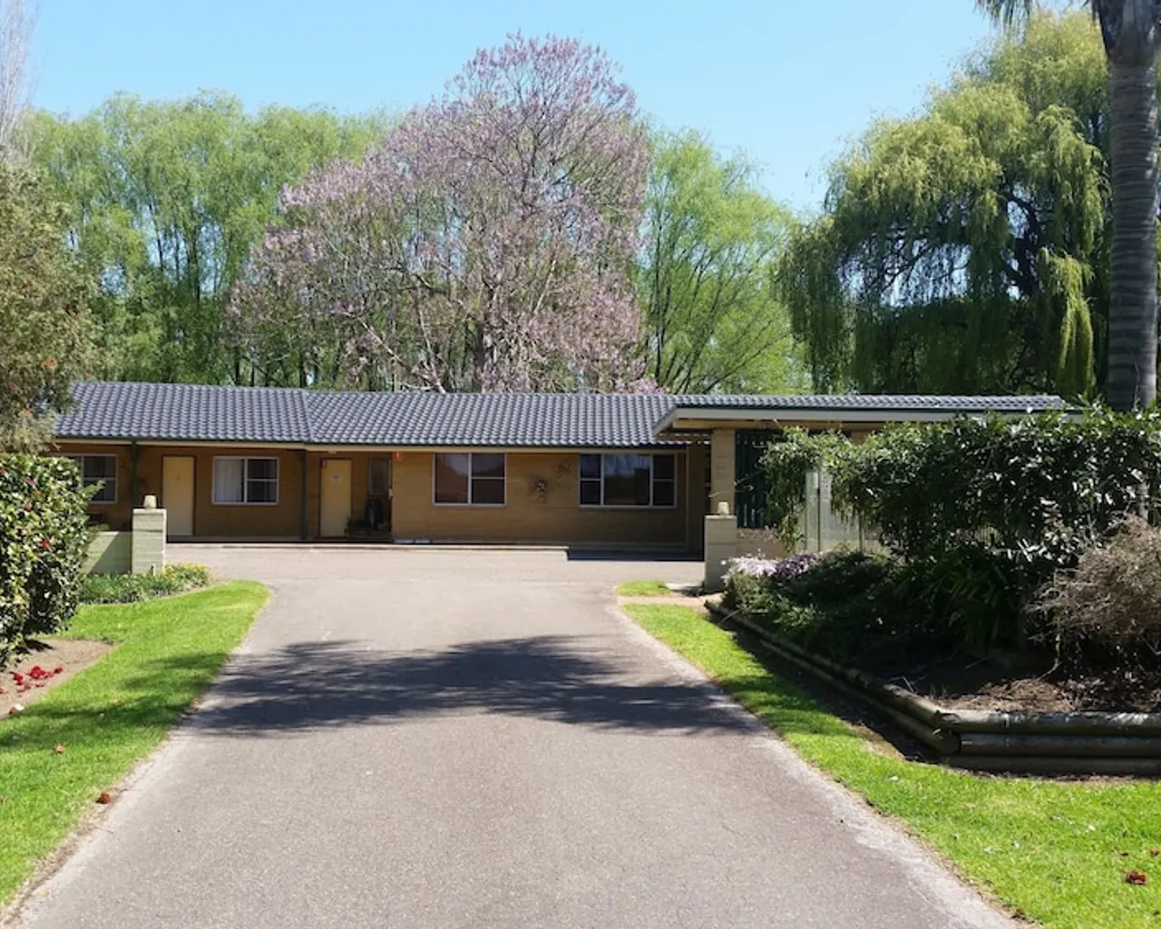 기본 이미지