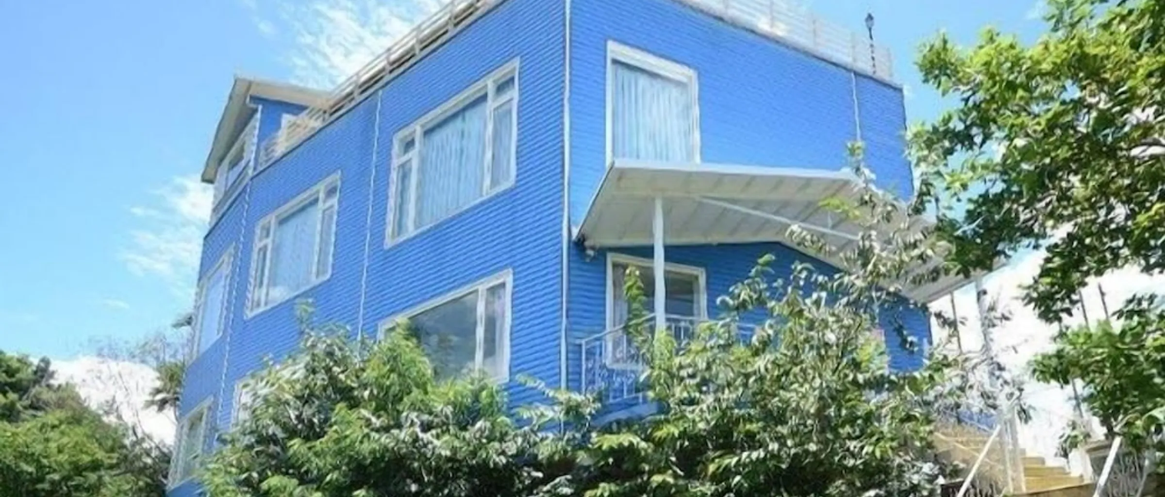 기본 이미지