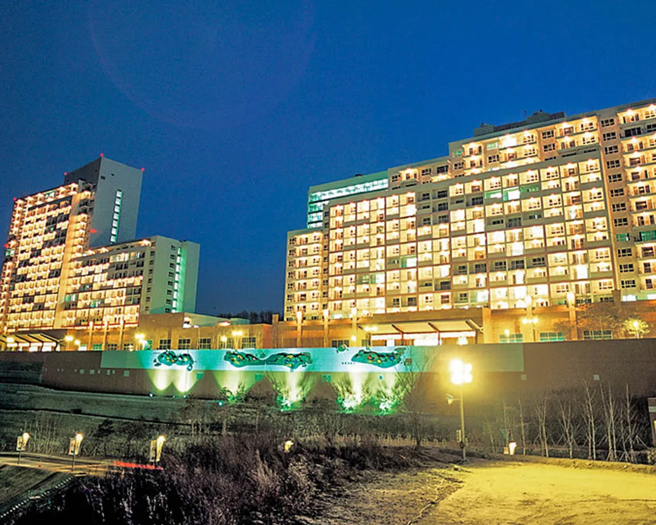 대표 사진