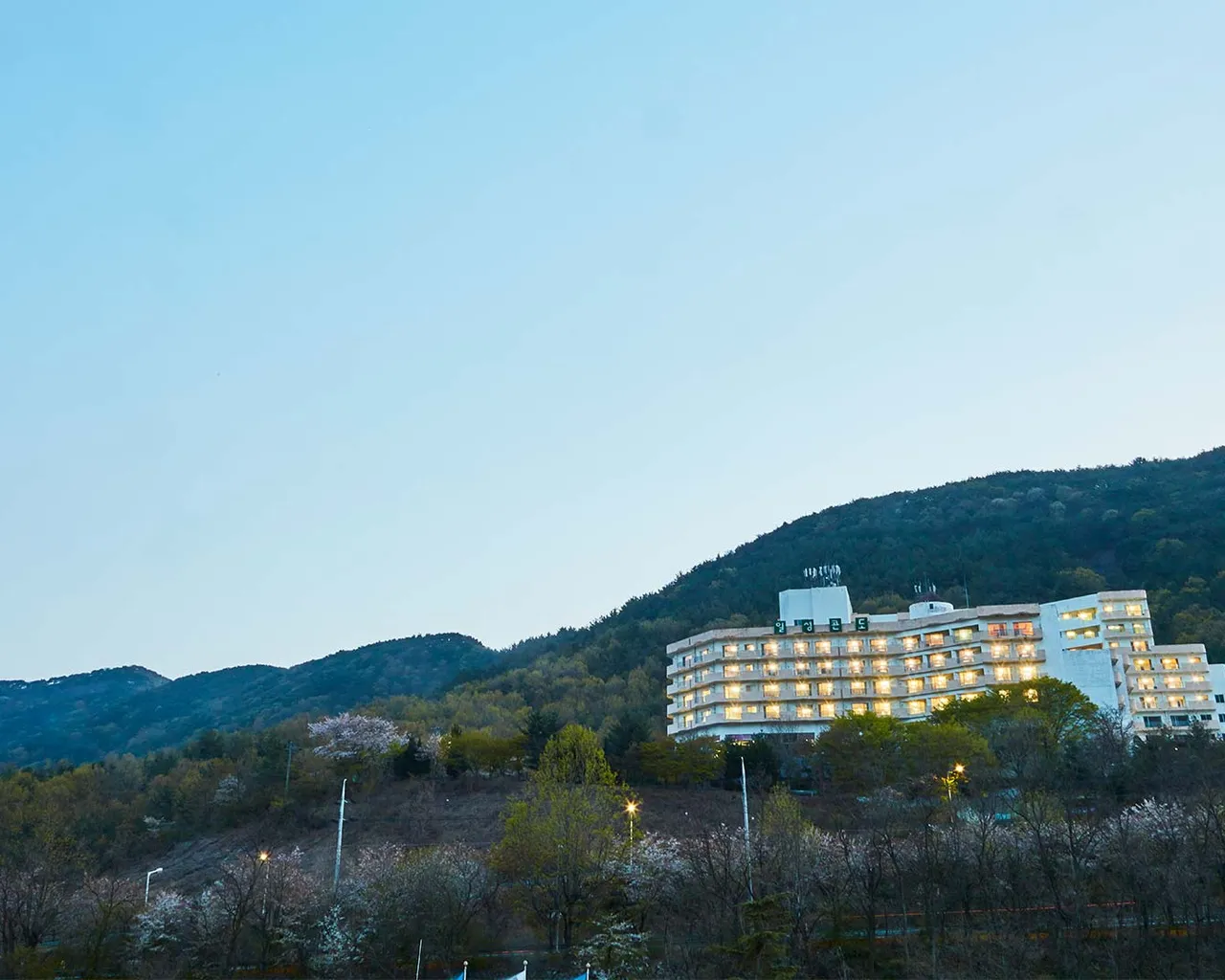 대표 사진