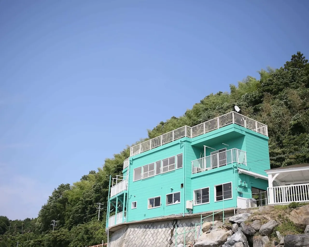 기본 이미지