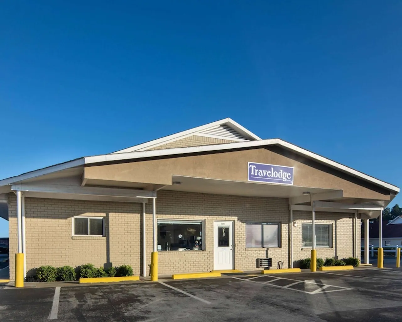 기본 이미지