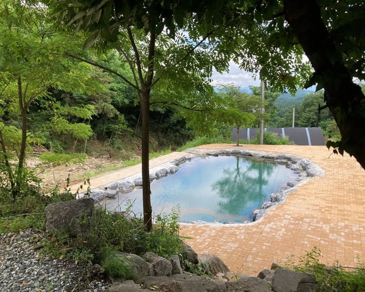 대표 사진